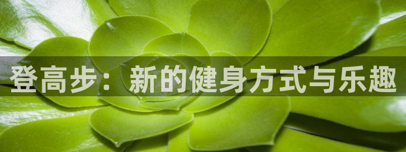 球王会体育：登高步：新的健身方式与乐趣