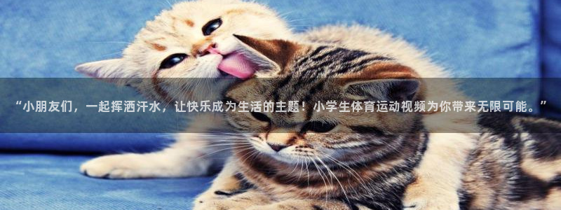 球王会体育：“小朋友们，一起挥洒汗水，让快乐成为生活的主题！小学生体育运动视频为你带来无限可能。”