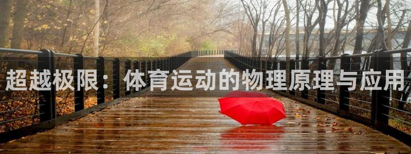 球王会体育：超越极限：体育运动的物理原理与应用