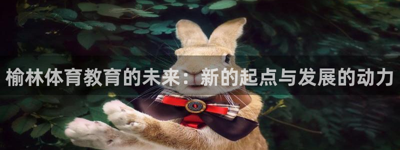 球王会体育：榆林体育教育的未来：新的起点与发展的动力
