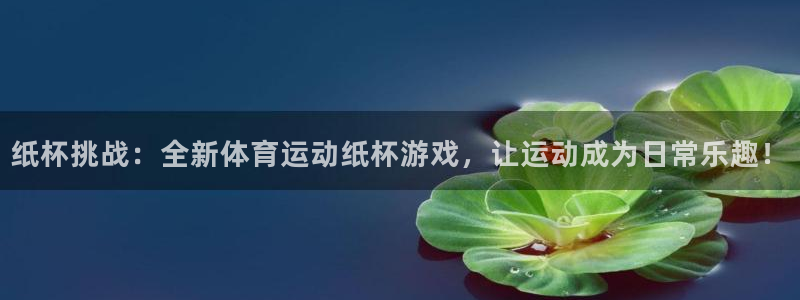 球王会体育：纸杯挑战：全新体育运动纸杯游戏，让运动成为日常乐趣！