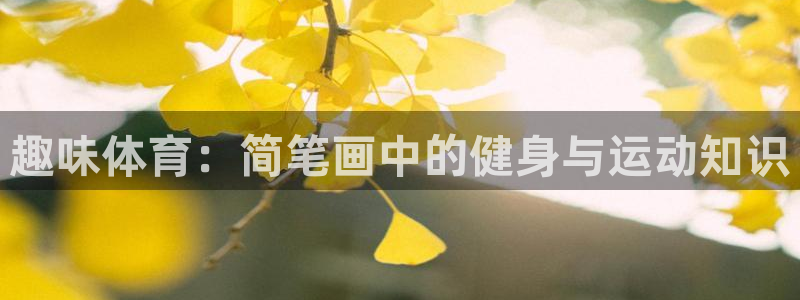 球王会体育：趣味体育：简笔画中的健身与运动知识
