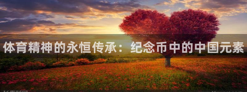 球王会体育：体育精神的永恒传承：纪念币中的中国元素