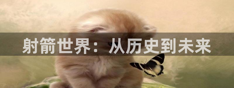 球王会体育：射箭世界：从历史到未来