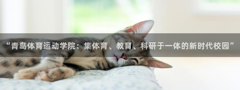 球王会体育：“青岛体育运动学院：集体育、教育、科研于一体的新时代校园”