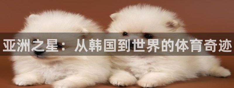 球王会体育：亚洲之星：从韩国到世界的体育奇迹