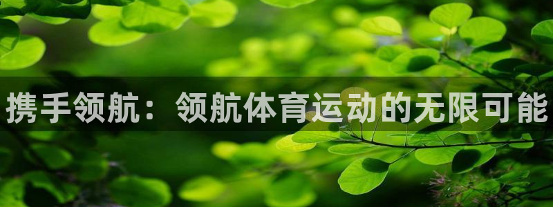 球王会体育：携手领航：领航体育运动的无限可能