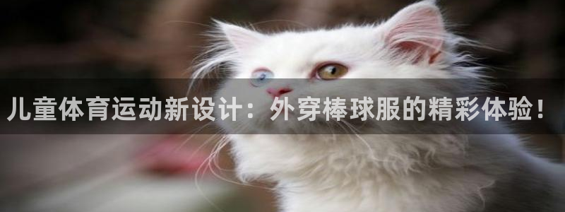 球王会体育：儿童体育运动新设计：外穿棒球服的精彩体验！