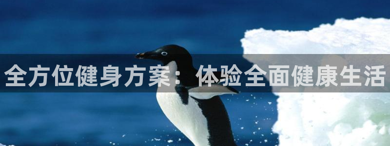 球王会体育：全方位健身方案：体验全面健康生活