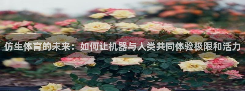 球王会体育：仿生体育的未来：如何让机器与人类共同体验极限和活力