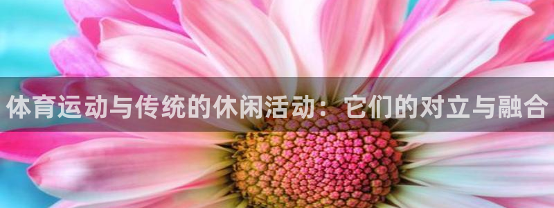 球王会体育：体育运动与传统的休闲活动：它们的对立与融合