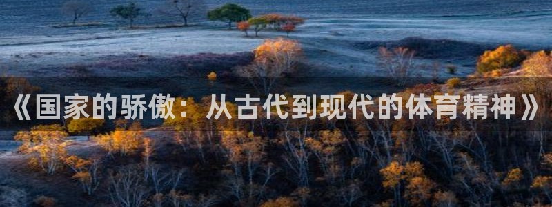 球王会体育