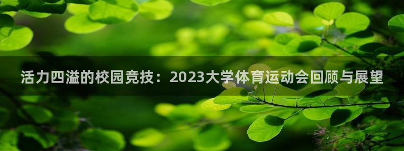 球王会体育：活力四溢的校园竞技：2023大学体育运动会回顾与展望