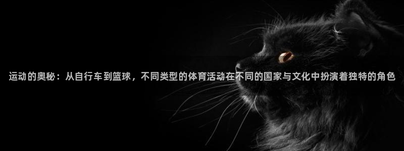 球王会体育：运动的奥秘：从自行车到篮球，不同类型的体育活动在不同的国家与文化中扮演着独特的角色