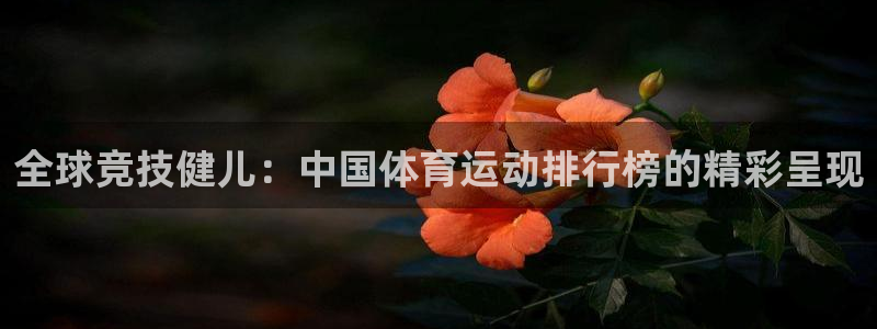 球王会体育