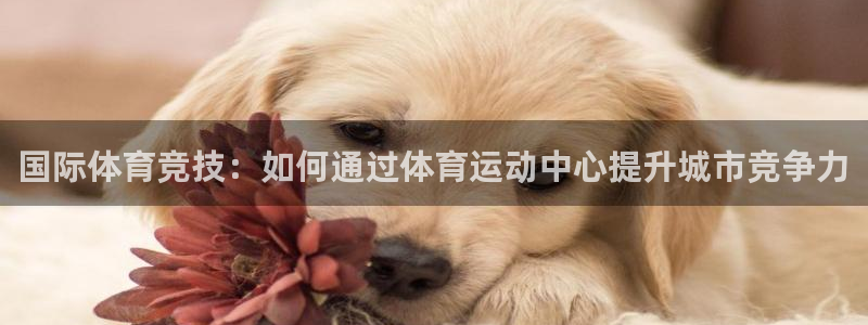 球王会体育