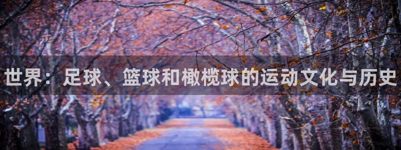 球王会体育