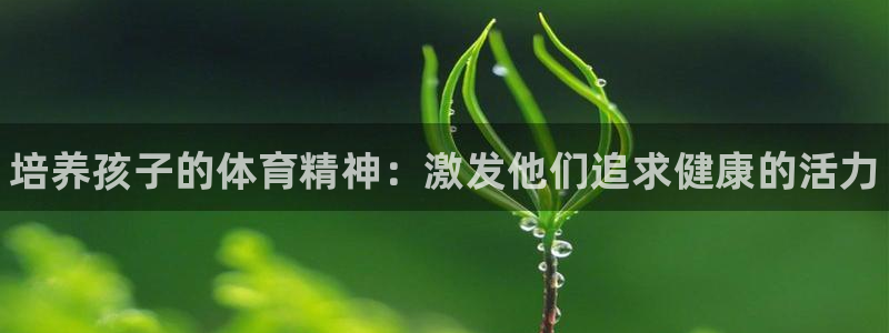 球王会体育：培养孩子的体育精神：激发他们追求健康的活力