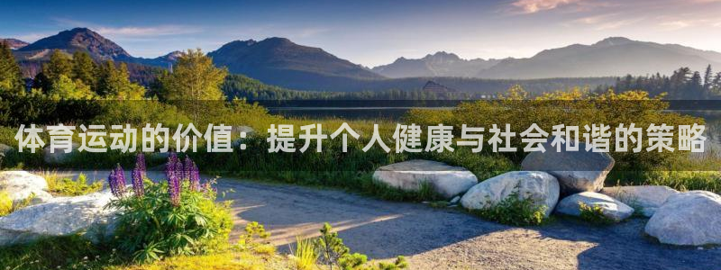 球王会体育：体育运动的价值：提升个人健康与社会和谐的策略