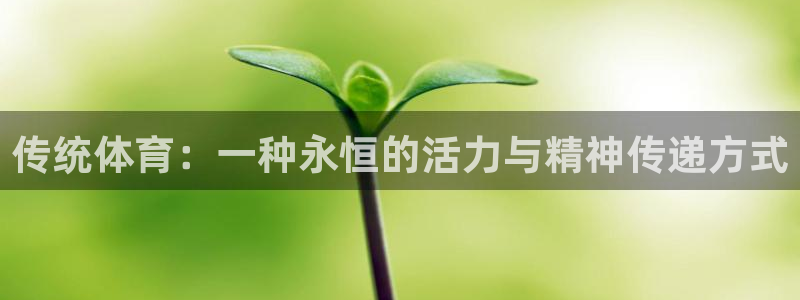球王会体育：传统体育：一种永恒的活力与精神传递方式