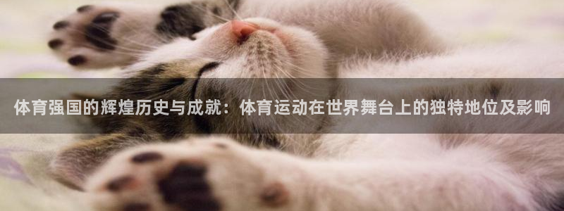 球王会体育：体育强国的辉煌历史与成就：体育运动在世界舞台上的独特地位及影响