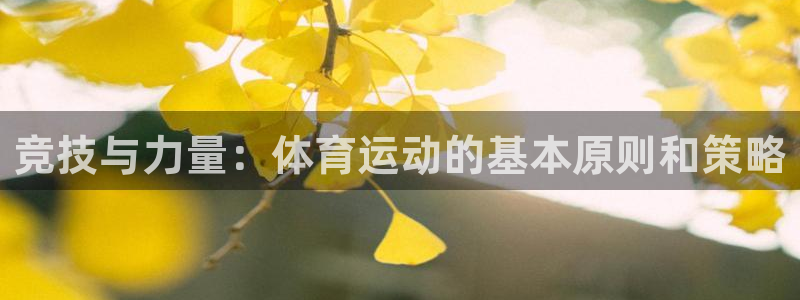 球王会体育：竞技与力量：体育运动的基本原则和策略