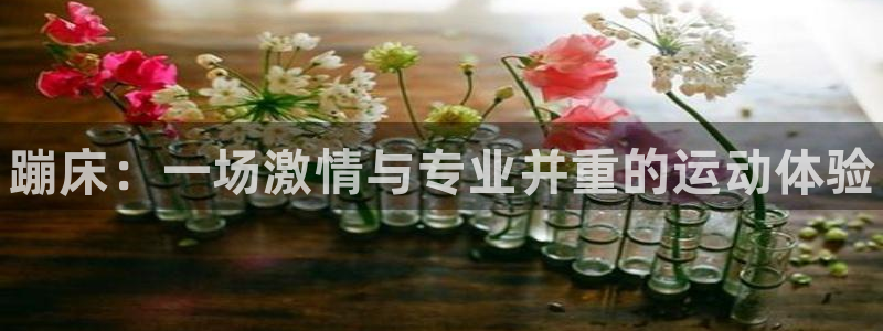 球王会体育：蹦床：一场激情与专业并重的运动体验