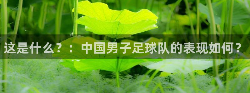 球王会体育：这是什么？：中国男子足球队的表现如何？