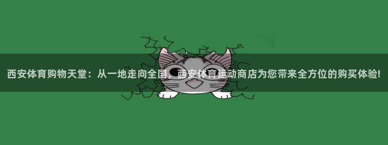 球王会体育：西安体育购物天堂：从一地走向全国，西安体育运动商店为您带来全方位的购买体验!