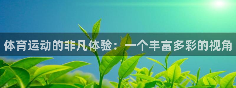球王会体育