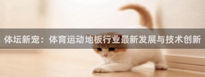 球王会体育：体坛新宠：体育运动地板行业最新发展与技术创新
