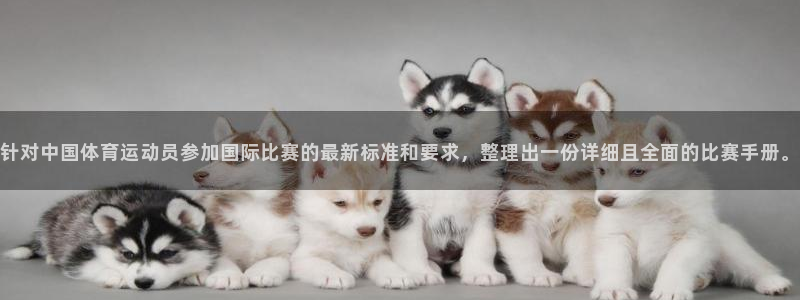 球王会体育：针对中国体育运动员参加国际比赛的最新标准和要求，整理出一份详细且全面的比赛手册。