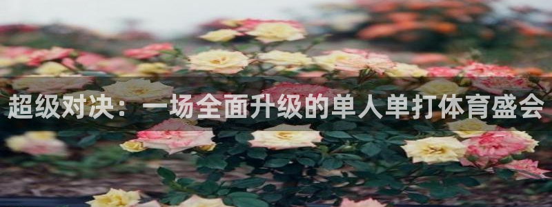 球王会体育：超级对决：一场全面升级的单人单打体育盛会