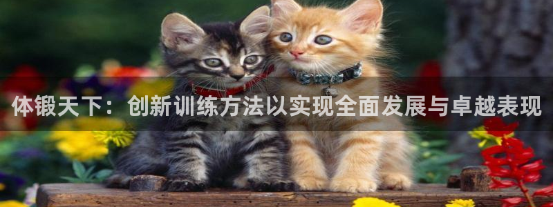 球王会体育：体锻天下：创新训练方法以实现全面发展与卓越表现