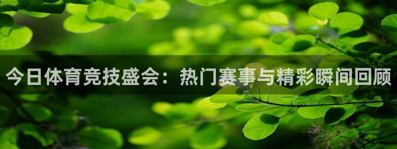 球王会体育：今日体育竞技盛会：热门赛事与精彩瞬间回顾