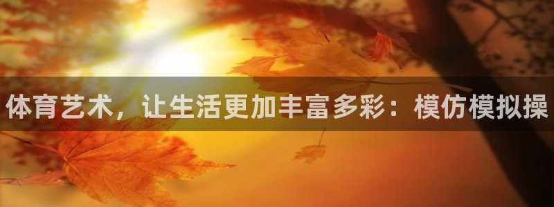 球王会体育：体育艺术，让生活更加丰富多彩：模仿模拟操