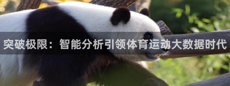 球王会体育：突破极限：智能分析引领体育运动大数据时代